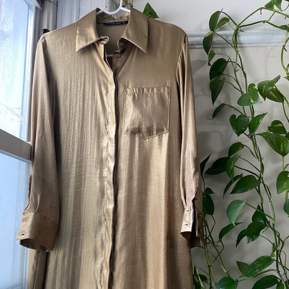Zara gold dress shirt.